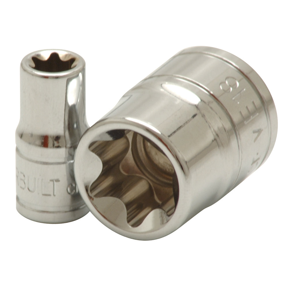 Powerbuilt 3/8in Dr x E16 Female Torx E Socket